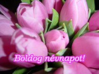 /album/fenykepgaleria/boldog-nevnapot-jpg1/